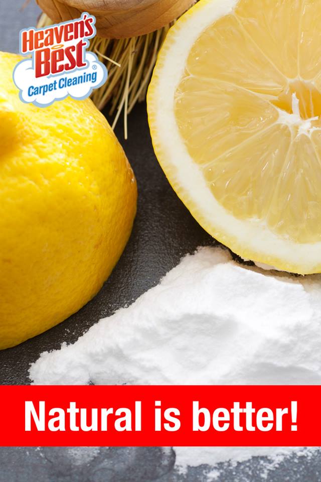 Birmingham Alabama’s Top Carpet, Upholstery and Floor Cleaning Professionals